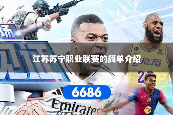 江苏苏宁职业联赛的简单介绍