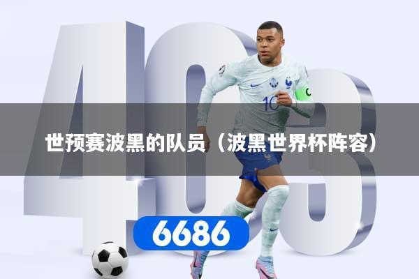 世预赛波黑的队员(波黑世界杯阵容)