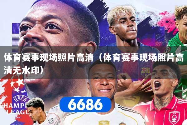 体育赛事现场照片高清(体育赛事现场照片高清无水印)