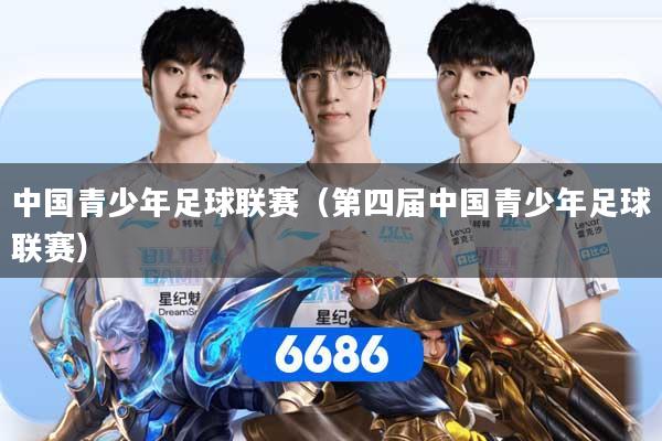 中国青少年足球联赛(第四届中国青少年足球联赛)