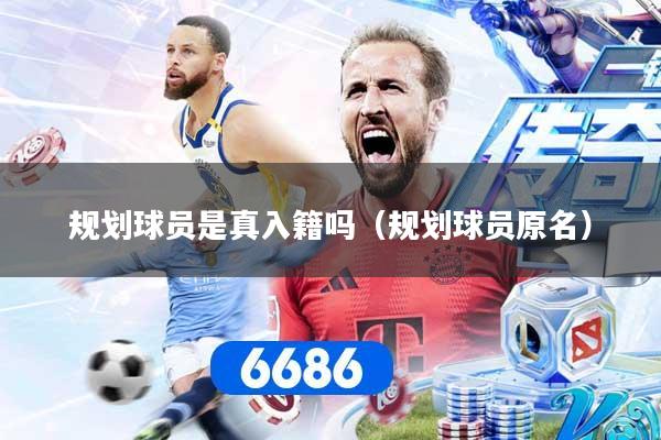 规划球员是真入籍吗（规划球员原名）